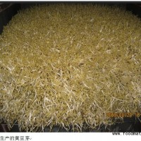 金斗型豆芽機
