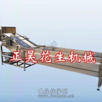 供應(yīng) 花生機(jī)械 氣泡蔬菜清洗機(jī) 清洗機(jī)