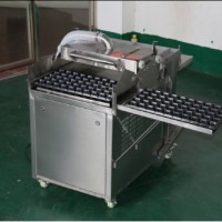 蔬菜穴盤育苗播種機
