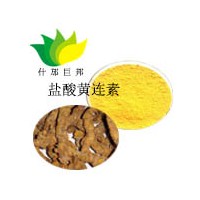 鹽酸黃連素