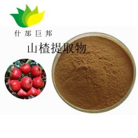 山楂提取物山楂粉