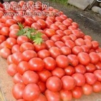 西紅柿種子-麗美909