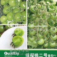 櫻桃番茄——綠寶石