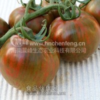 黑番茄種子-黑斑馬