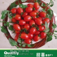 番茄種子-甜喜
