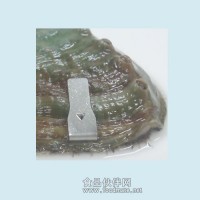CLIP貝類標記放流標記鮑魚標記
