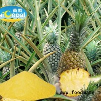 南派鳳梨粉（果汁粉，天然粉粉）