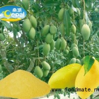 南派芒果粉（食品級(jí)芒果粉，正宗原漿粉）