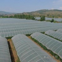 塑料大棚支架，新型無支柱大棚支架機博利