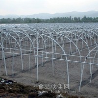 鋼架大棚 鋼管大棚廠， 鋼管鍍塑溫室大棚骨架博利