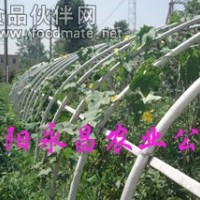 安陽永昌農業供應全自動蔬菜溫室大棚骨架機
