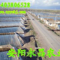 供應新型全自動蔬菜大棚骨架機