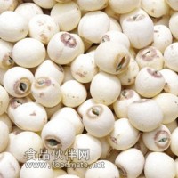 供應優質湘蓮去皮帶芯蓮子