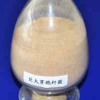 百惠生物專業提供，肥菌種，肥發酵菌種，秸稈發酵菌種，微生物菌種及技術服務