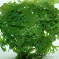 進口綠雞冠藻
