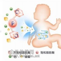 奶粉中OPO結構酯檢測服務