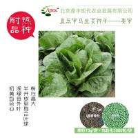 直立生菜種子-奧羅