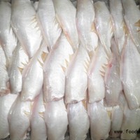 供應進口剝皮魚，橡皮魚