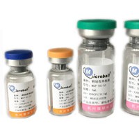 枯草芽孢桿菌CMCC(B)63501
