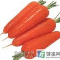 胡蘿卜粉食品原料速溶型