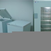 工業(yè)冰箱_工業(yè)冰柜_工業(yè)冷柜_工業(yè)用冰箱