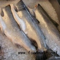 智利大西洋三文魚ATLANTIC