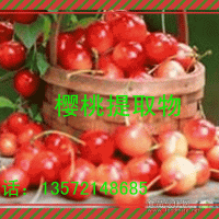櫻桃提取物/西安富正源生物供應櫻桃粉