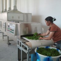 茶葉微波殺青設備，茶帶式微波殺青機