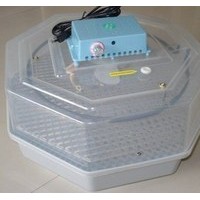 鴿子孵化機/鴨子孵化機/可顯示小型孵化機