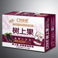 1*12*250ml樹上果桑果汁