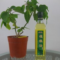 泰山夢寬核桃油招商