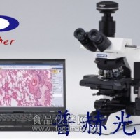 研究級顯微鏡BX53 奧林巴斯BX53顯微鏡