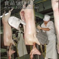 豬用二分體鋸