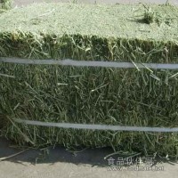 供應紫花苜蓿草捆粉顆粒