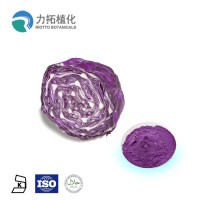 廠家供應紫甘藍粉