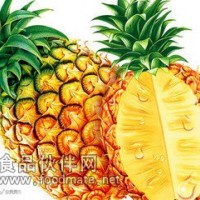 供應濃縮汁菠蘿汁