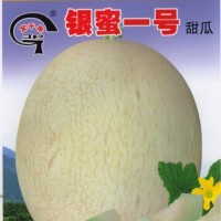 金蘋果 哈密瓜 甜瓜