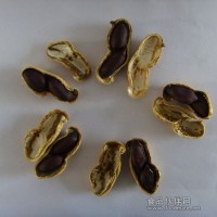 黑花生黑花生種子