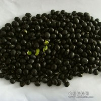黑大豆 黑大豆種植