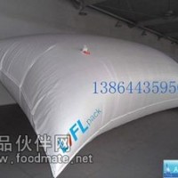 一次性使用集裝箱液袋