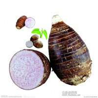 真如果供應(yīng)天然香芋粉