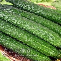 供應黃瓜粉