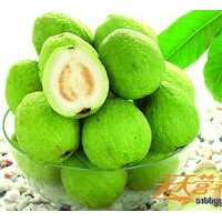 真如果供應(yīng)天然番石榴粉