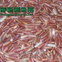 精細(xì)加工 健康雜糧 糙米