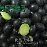 精選良種 青出于藍 青海豆