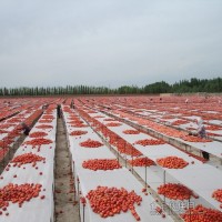 2012新產季番茄干