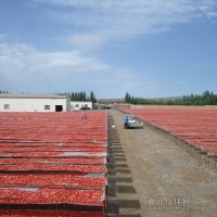 現貨供應2012新產季日曬番茄干