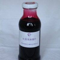 紅甜菜濃縮汁
