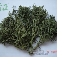 刺松藻
