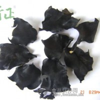 干海帶根